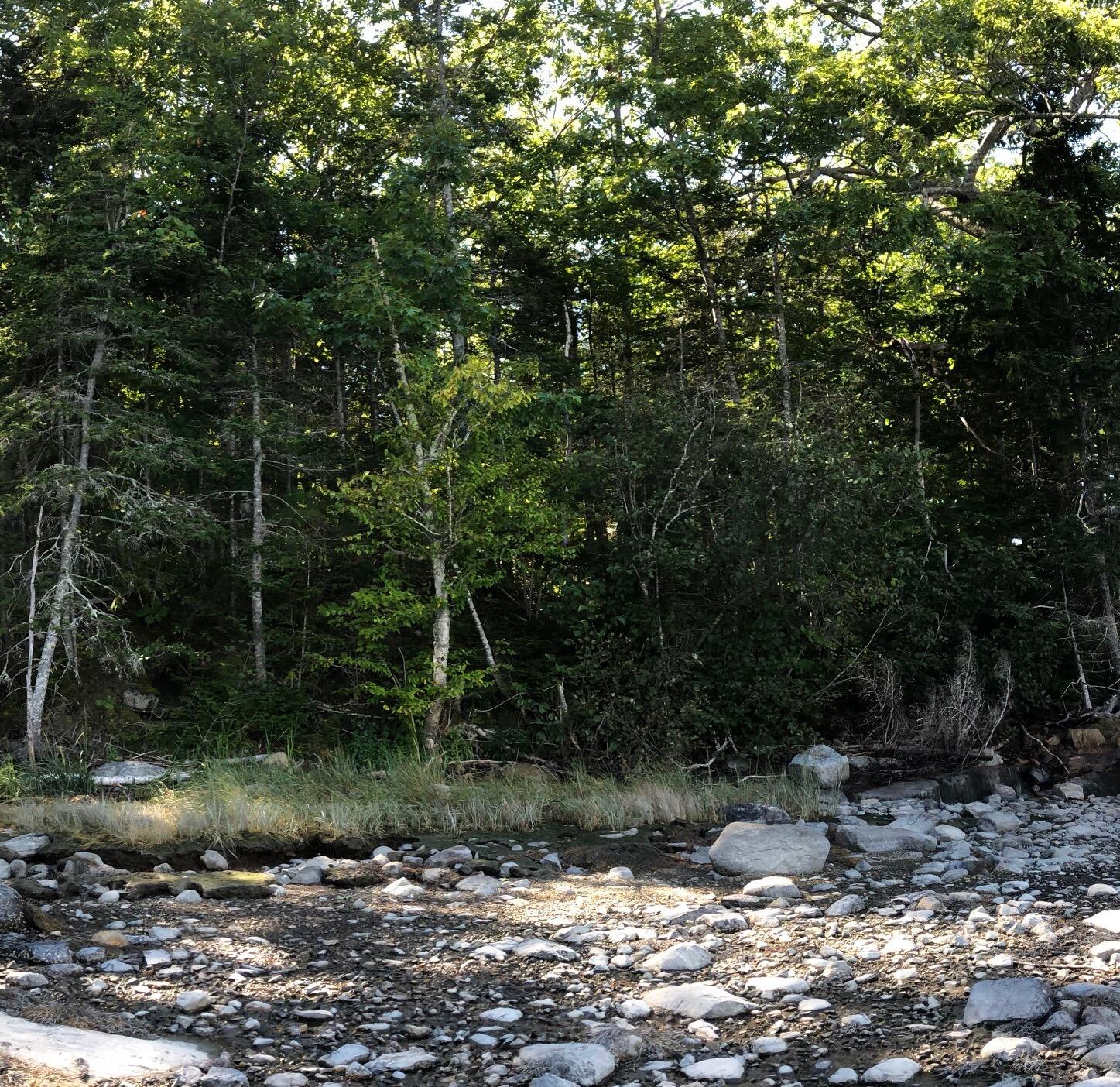 64 Stones Point Road Cushing, ME 04563 - Photo 1 of 1 Land Picture