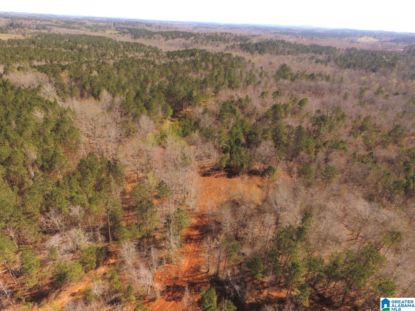 3045 Corinth Road, Unit 56 ACRES Cragford, AL 36255 - Photo 22 of 29