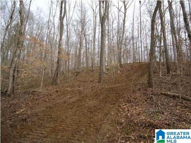 0 Riverview Drive, Unit 116 Cleveland, AL 35049 - Photo 25 of 30