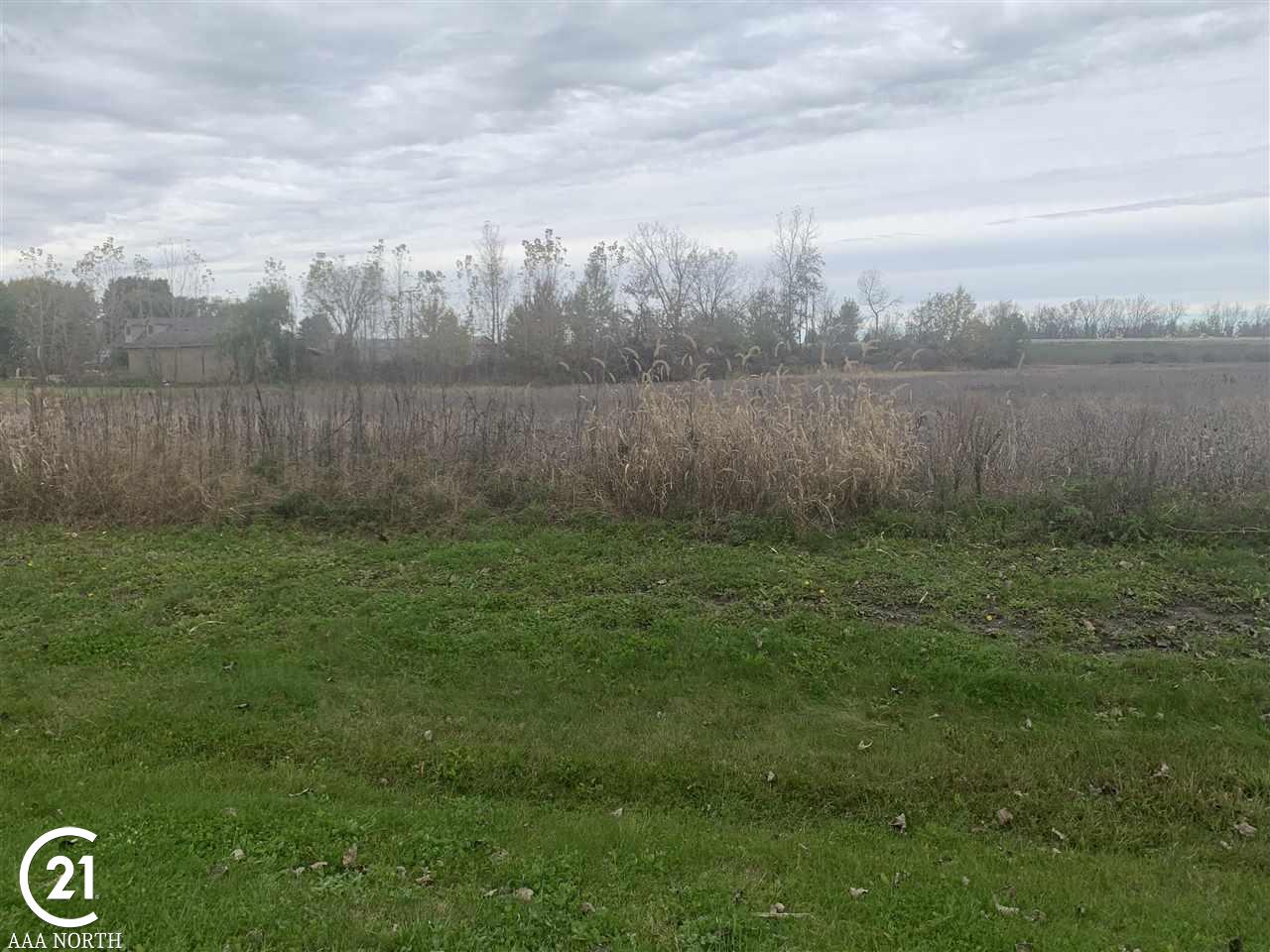 0 Pheasant Ridge Imlay City, MI 48444 - Photo 3 of 4