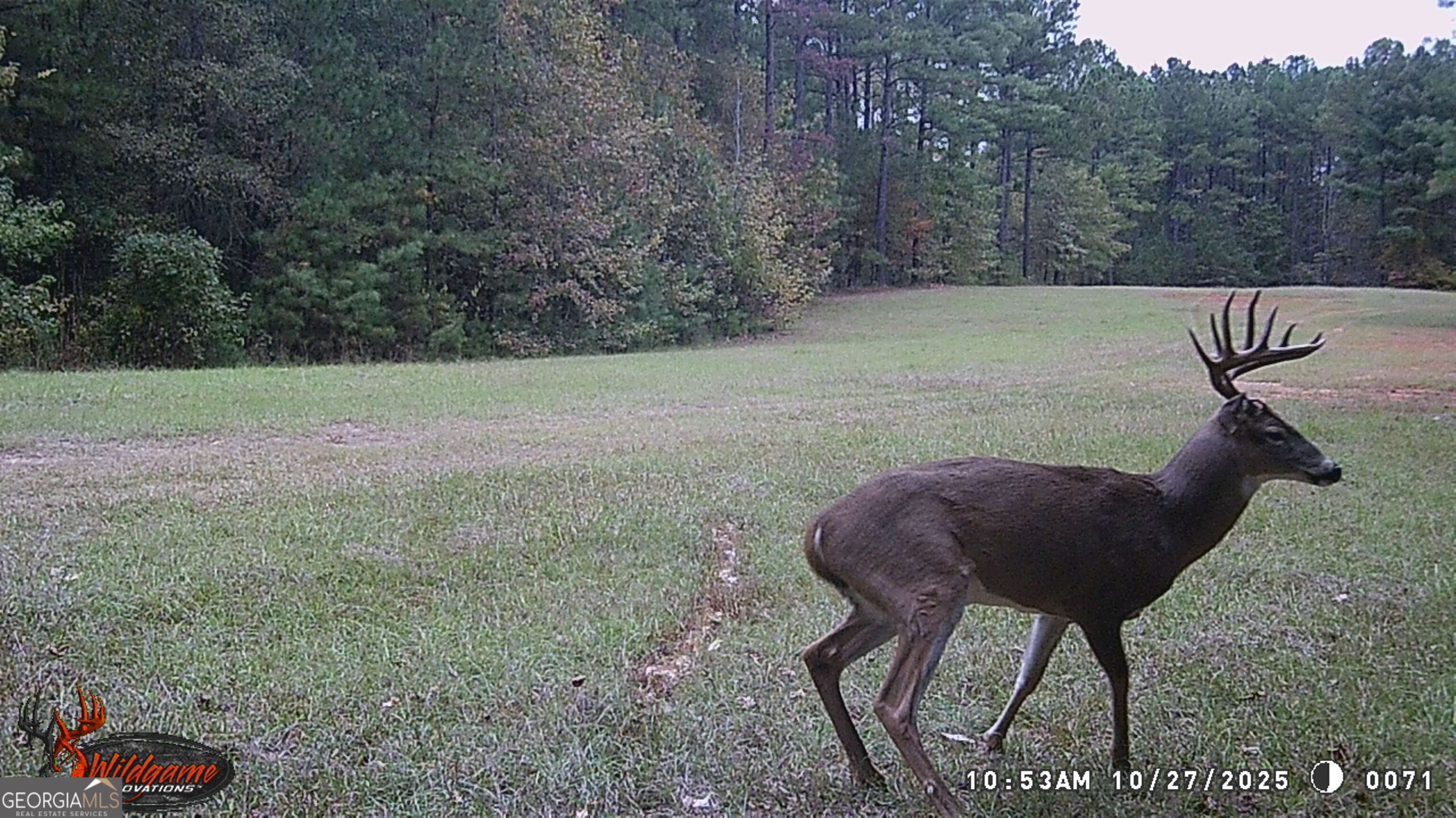 0 5 Points Road Gray, GA 31032 - Photo 1 of 16 a view of yard in back yard
