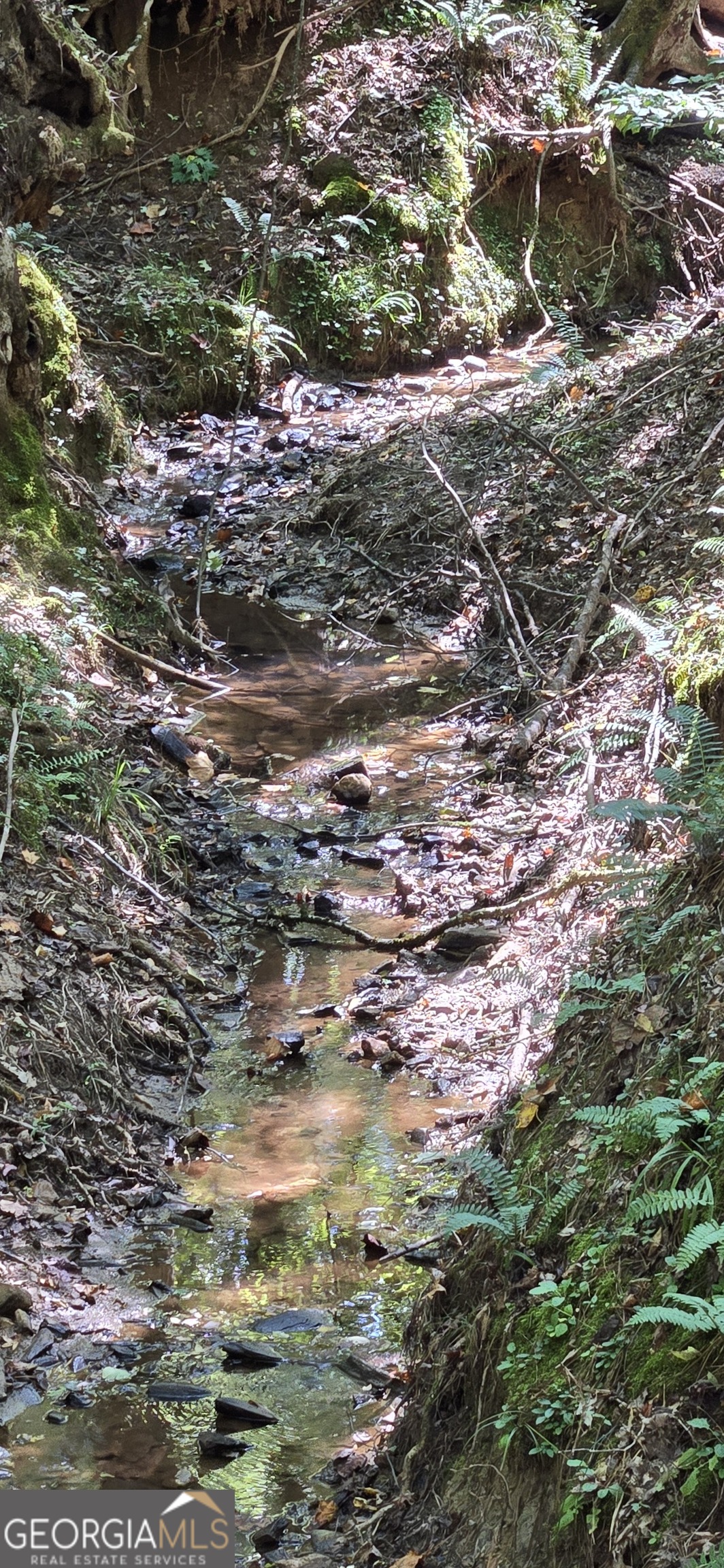 0 5 Points Road Gray, GA 31032 - Photo 11 of 16 a view of lot of trees