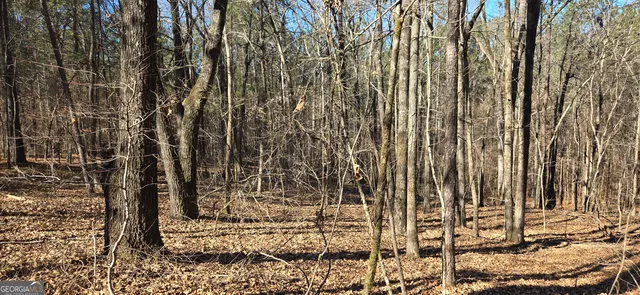 a view of a yard with plants and trees