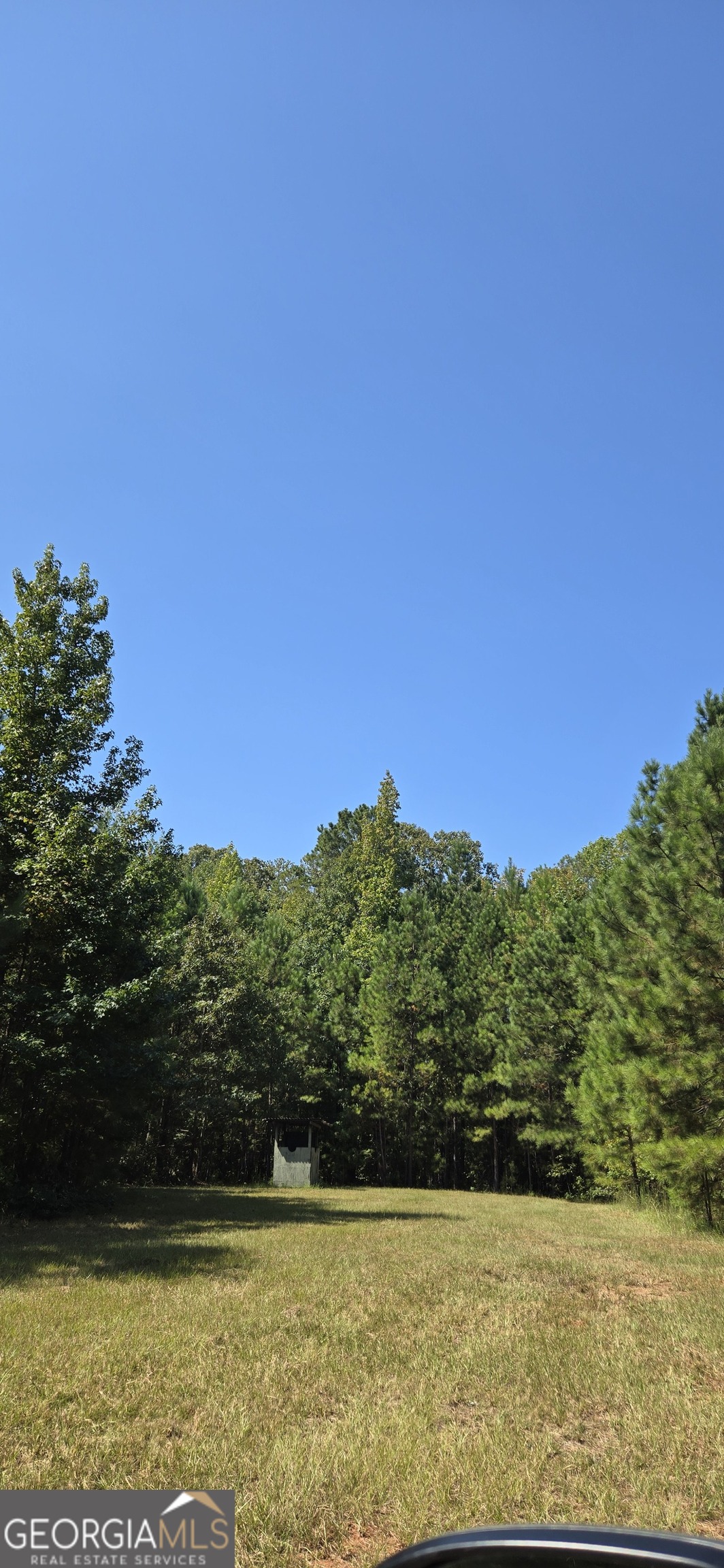 0 5 Points Road Gray, GA 31032 - Photo 12 of 16 a view of a yard