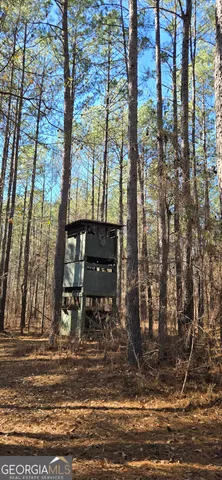 a view of a street with large trees