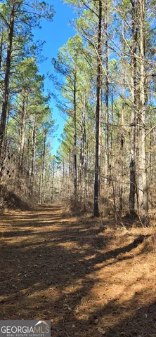 a view of a backyard of the house