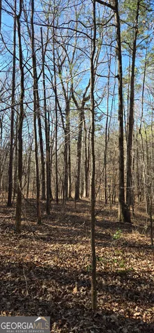 a view of a yard with plants and trees