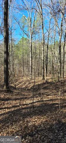 a view of an outdoor space