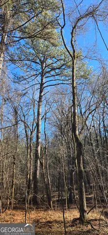 a view of a building