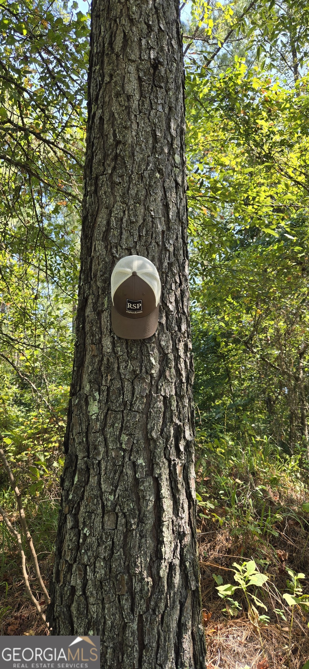 0 5 Points Road Gray, GA 31032 - Photo 3 of 16 a aerial view of a house with a yard