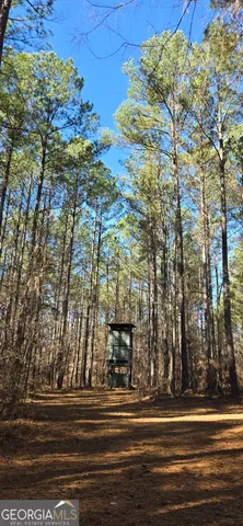 $869,900 | 0 5 Points Road, Gray, GA 31032