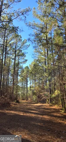 $869,900 | 0 5 Points Road, Gray, GA 31032