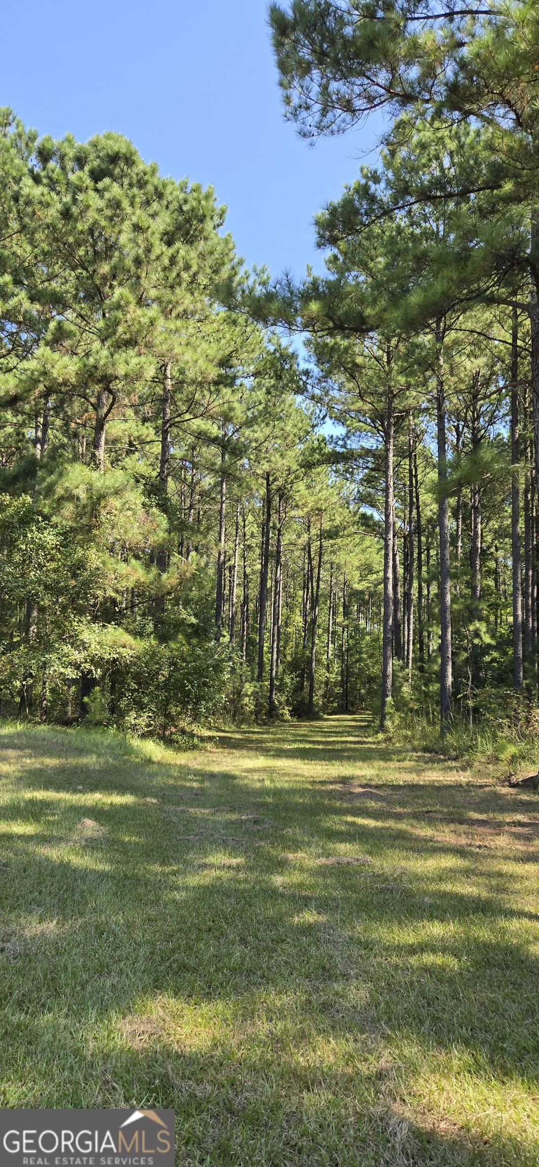 0 5 Points Road Gray, GA 31032 - Photo 4 of 16 a view of a green field