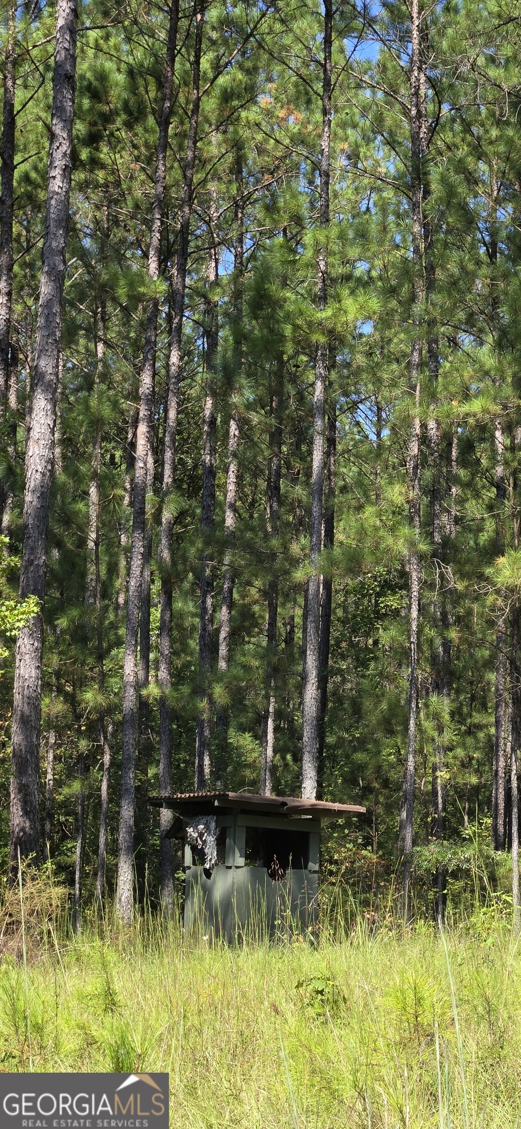 0 5 Points Road Gray, GA 31032 - Photo 5 of 16 a view of a yard with large trees