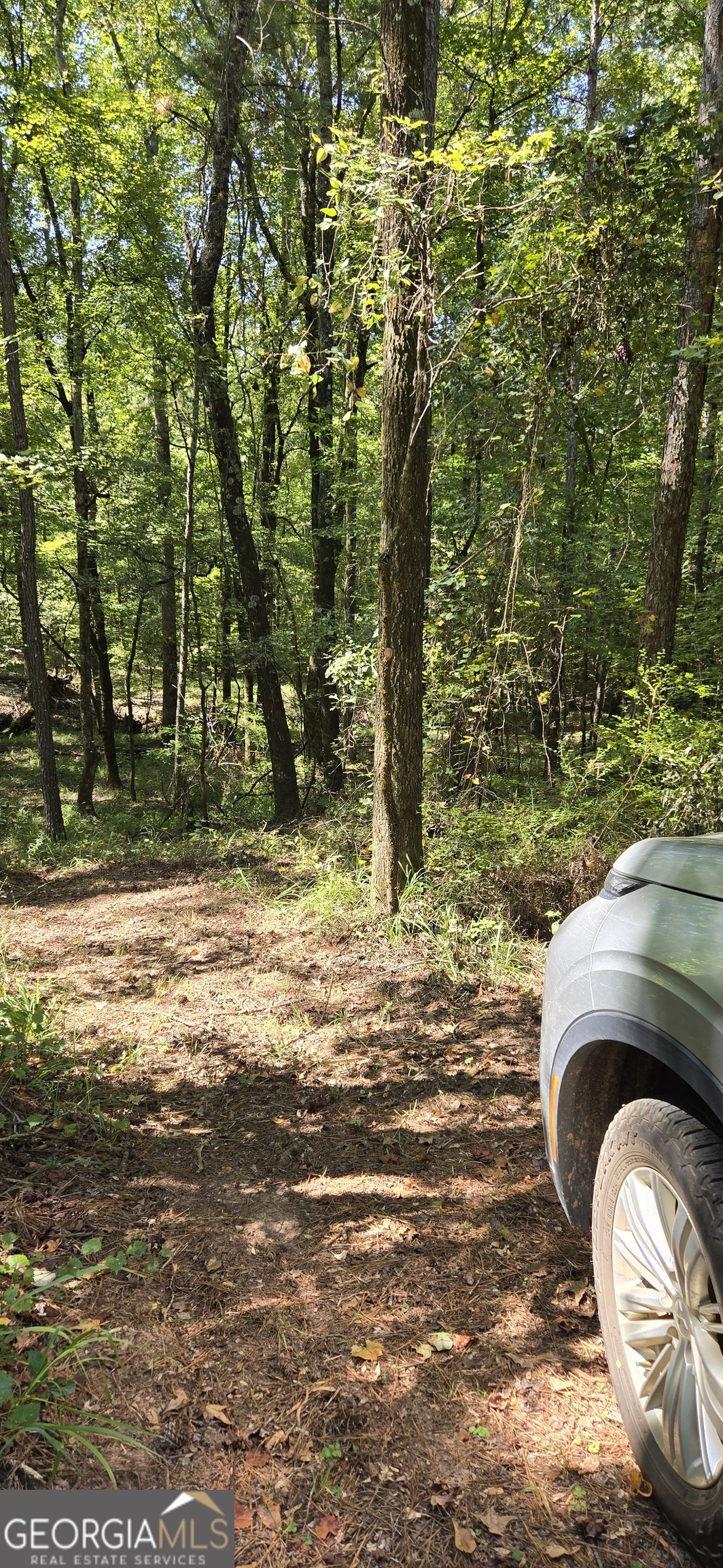 0 5 Points Road Gray, GA 31032 - Photo 7 of 16 a view of a wooden house with a yard