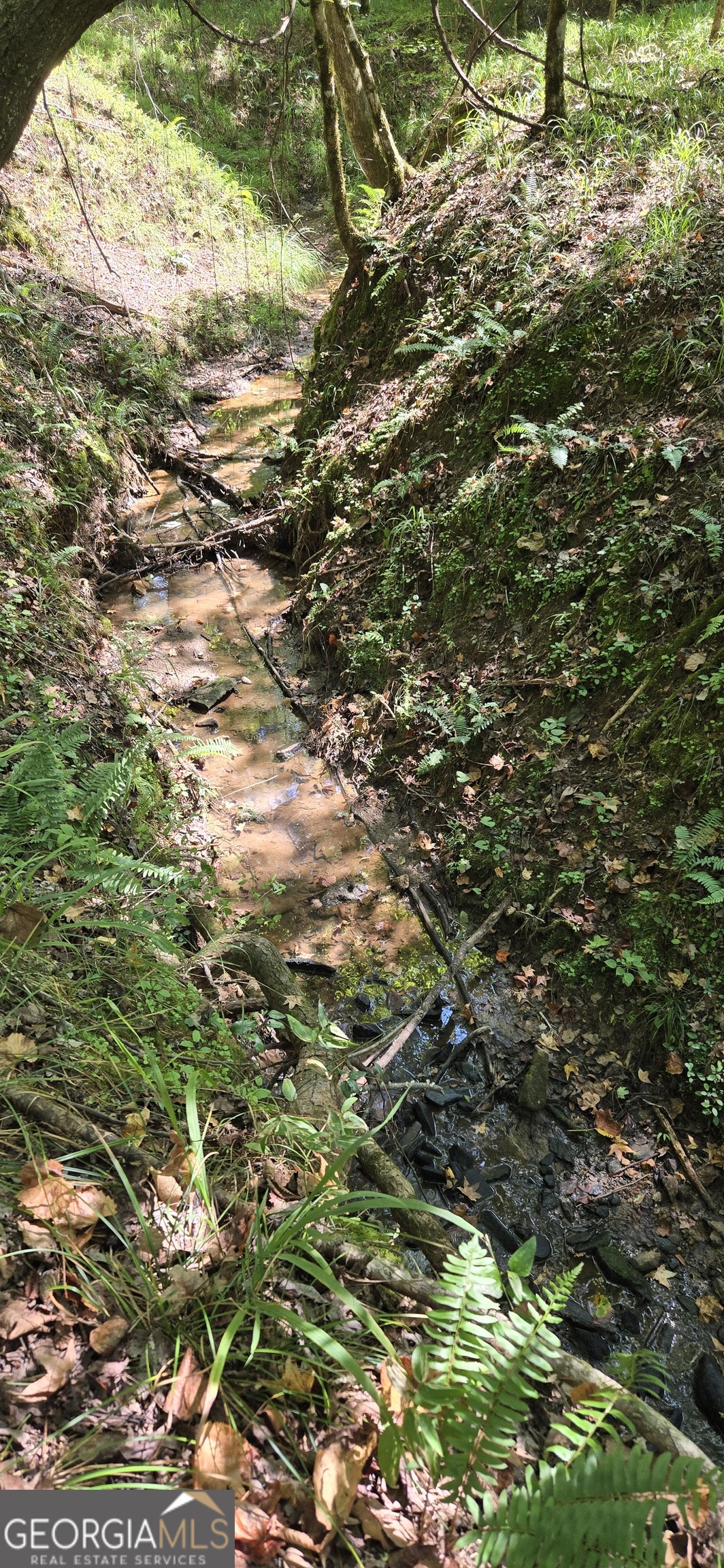 0 5 Points Road Gray, GA 31032 - Photo 8 of 16 a view of a tree with a tree