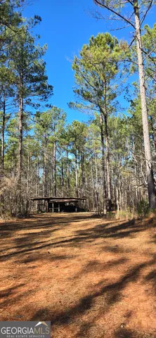 a view of yard with trees