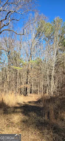 a view of outdoor space with garden