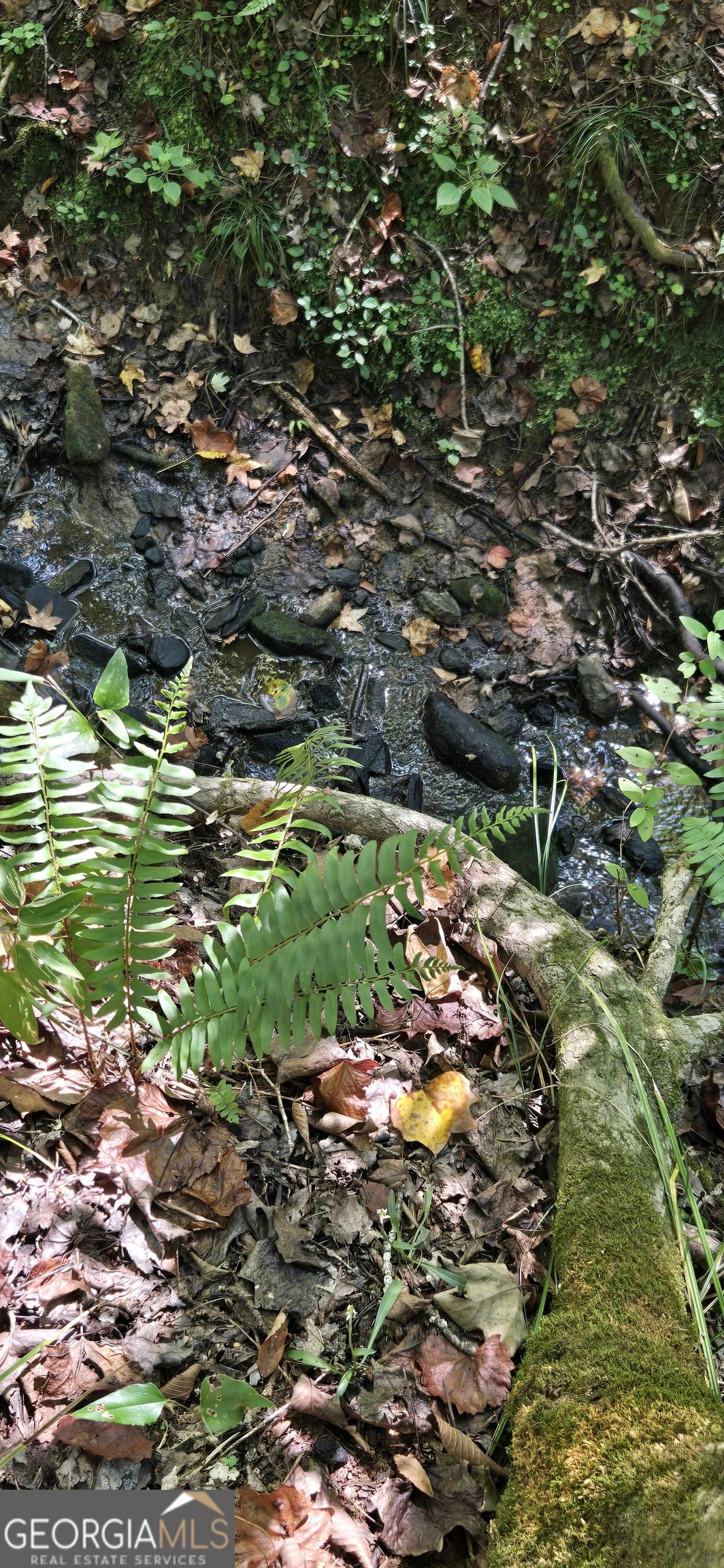 0 5 Points Road Gray, GA 31032 - Photo 9 of 16 a view of a lake view