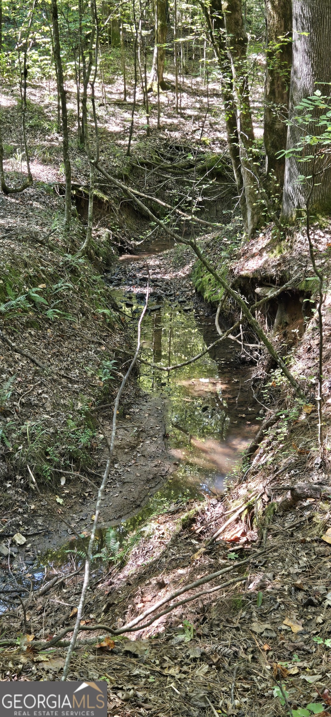 0 5 Points Road Gray, GA 31032 - Photo 10 of 16 a view of ocean