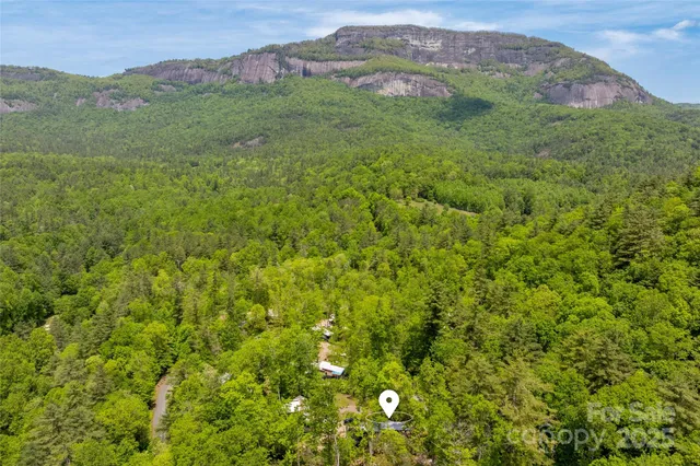 a view of a lush green hillside and a houses