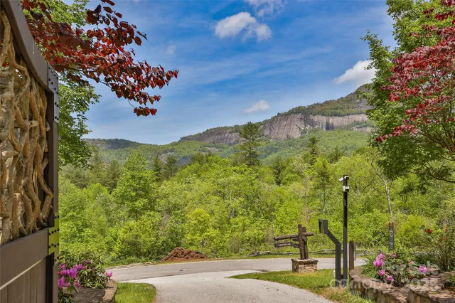 a view of a yard with flower plants and wooden fence