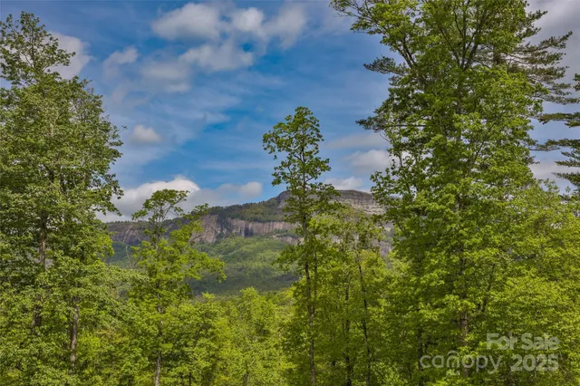 a picture of flowers