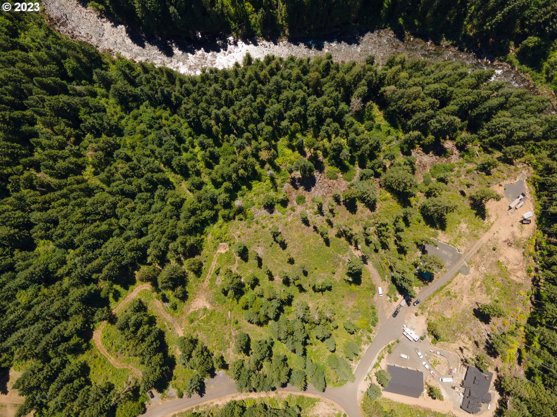 a view of a tree with a yard