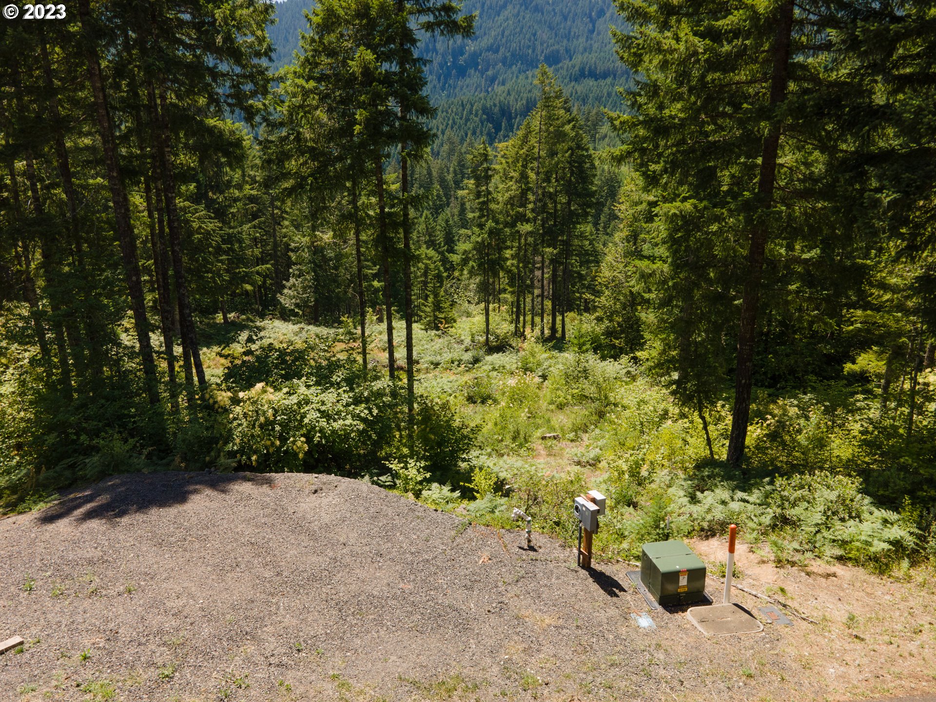 Boulder Ridge Carson, WA 98610 - Photo 4 of 7