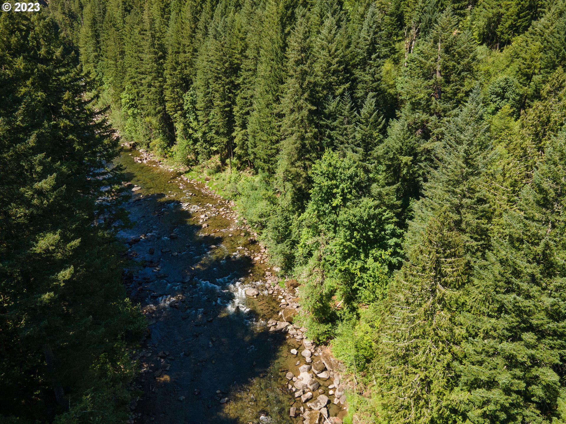 Boulder Ridge Carson, WA 98610 - Photo 6 of 7