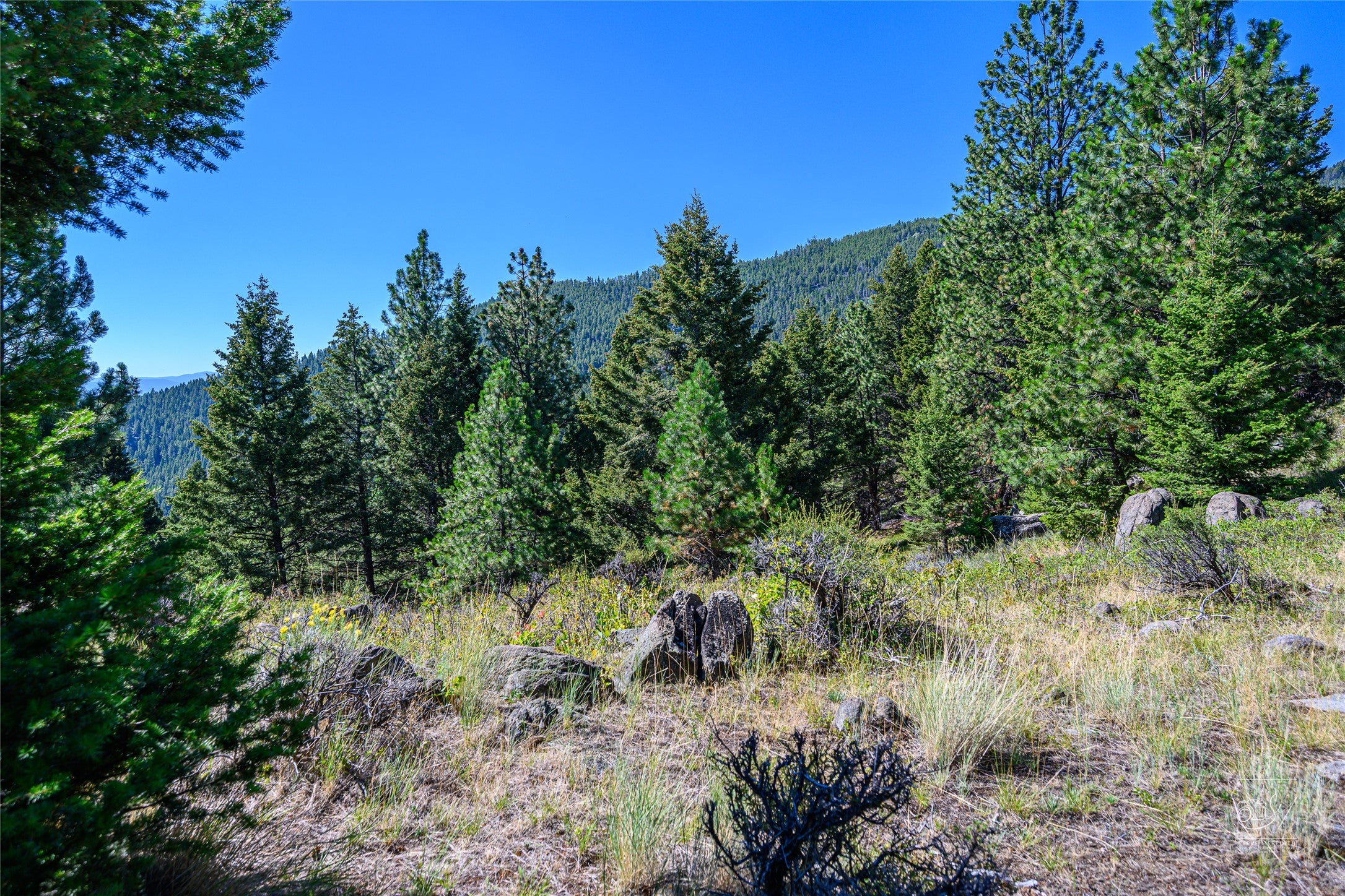 A1 Hill Brothers Road Clancy, MT 59634 - Photo 21 of 26 Gallery Image 21