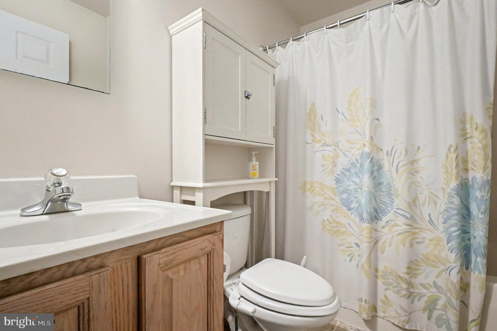 88 Carter Way Montross, VA 22520 - Photo 23 of 68 a bathroom with a sink a toilet and shower