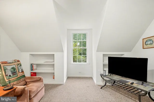 a view of a garden with plants