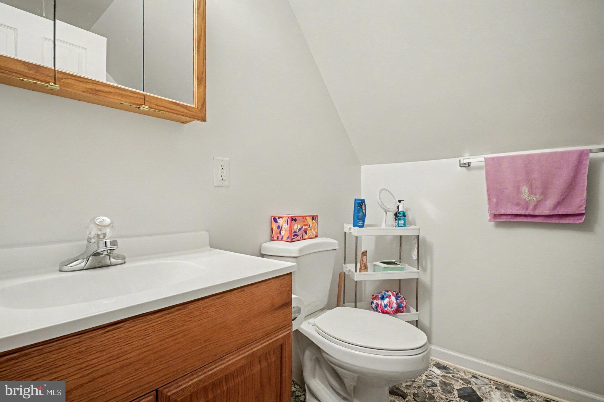 88 Carter Way Montross, VA 22520 - Photo 33 of 68 a bathroom with a sink a toilet and a shower curtain