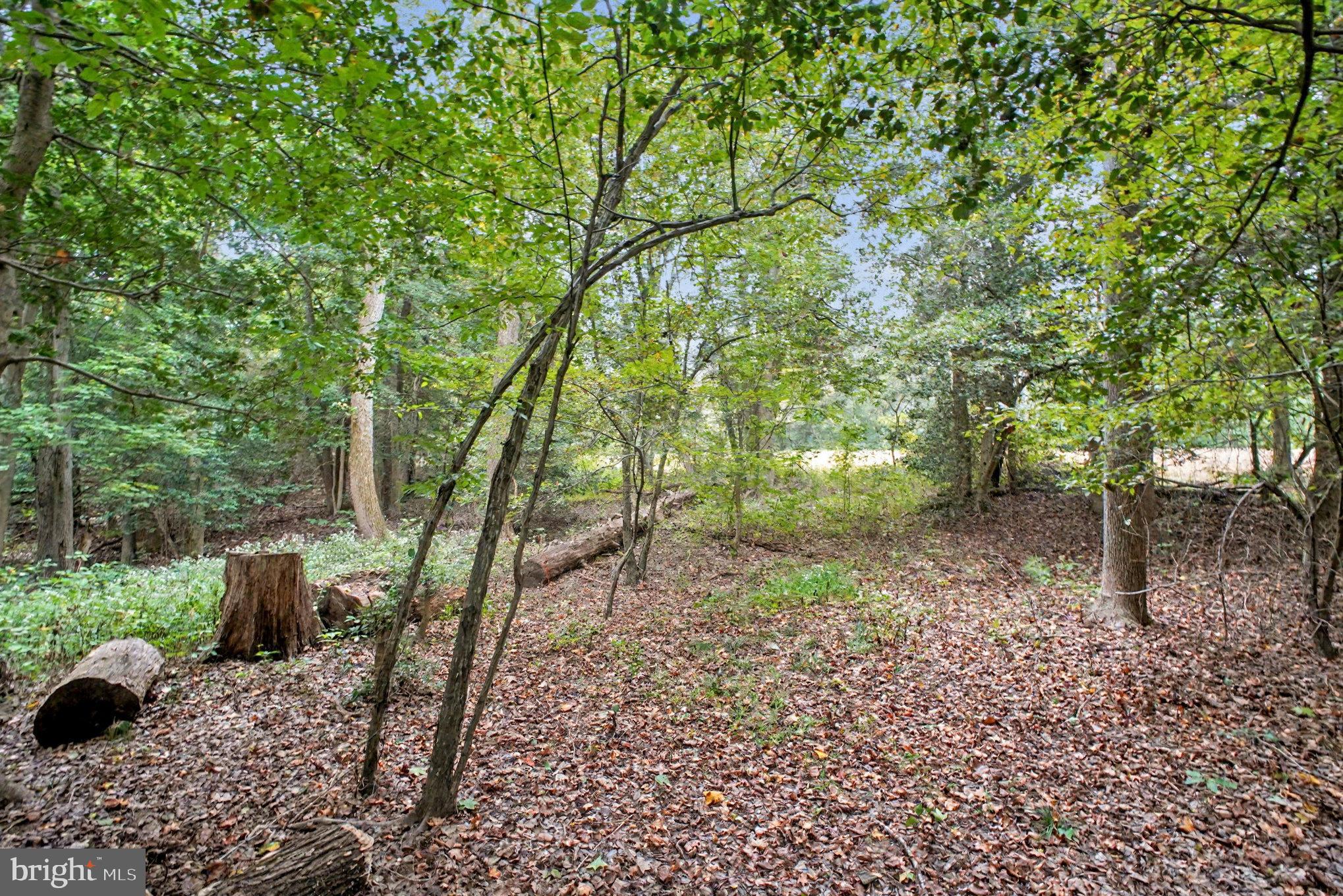 88 Carter Way Montross, VA 22520 - Photo 39 of 68 back yard