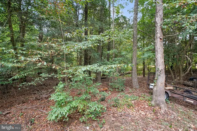 an aerial view of mountain with trees in the background