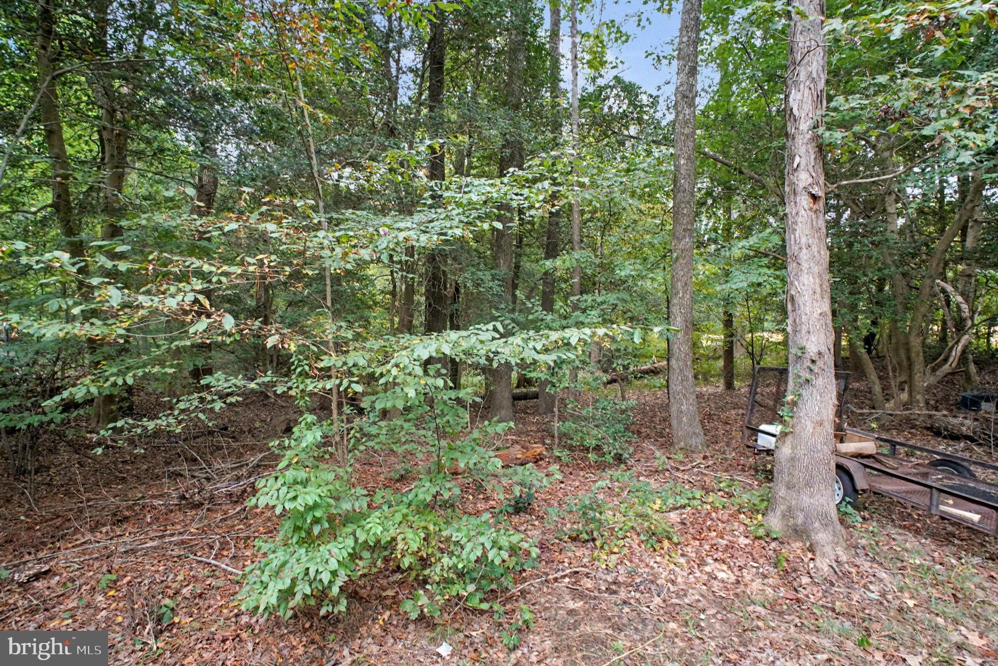 88 Carter Way Montross, VA 22520 - Photo 40 of 68 a view of a garden with plants