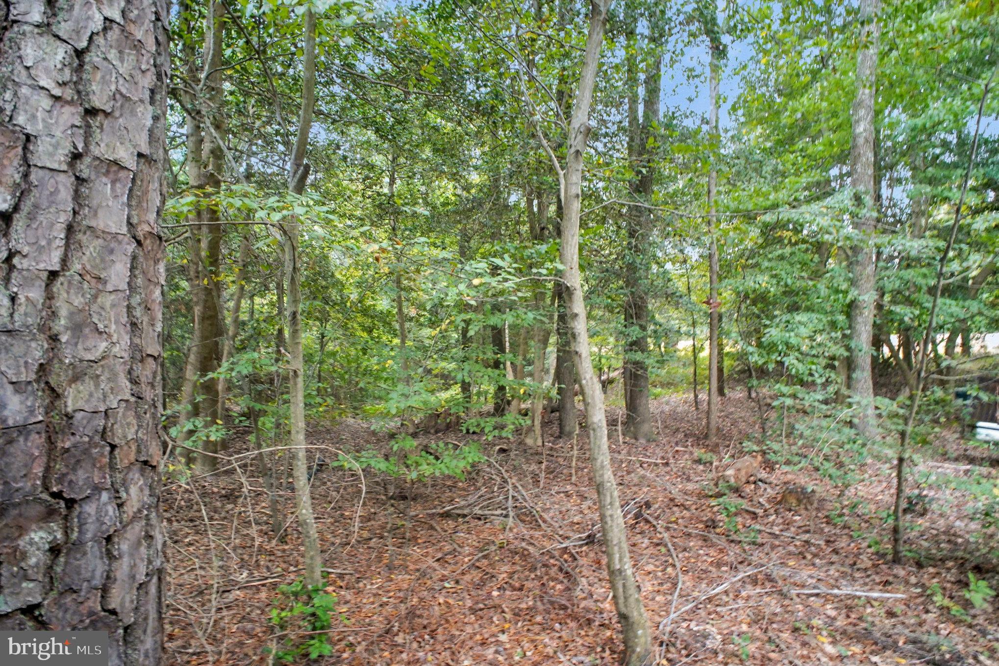 88 Carter Way Montross, VA 22520 - Photo 41 of 68 extra lot for additional privacy or to build on