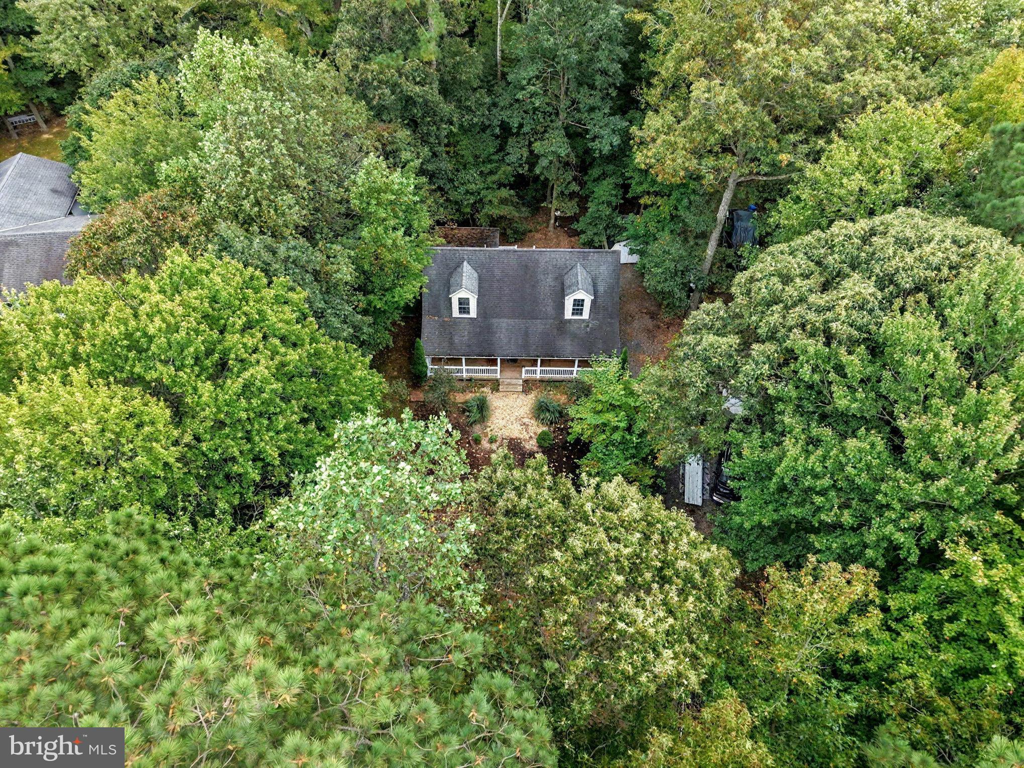 88 Carter Way Montross, VA 22520 - Photo 43 of 68 an aerial view of a house with a yard and large trees
