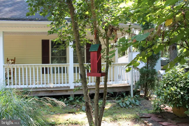 a view of a house with a yard and large tree