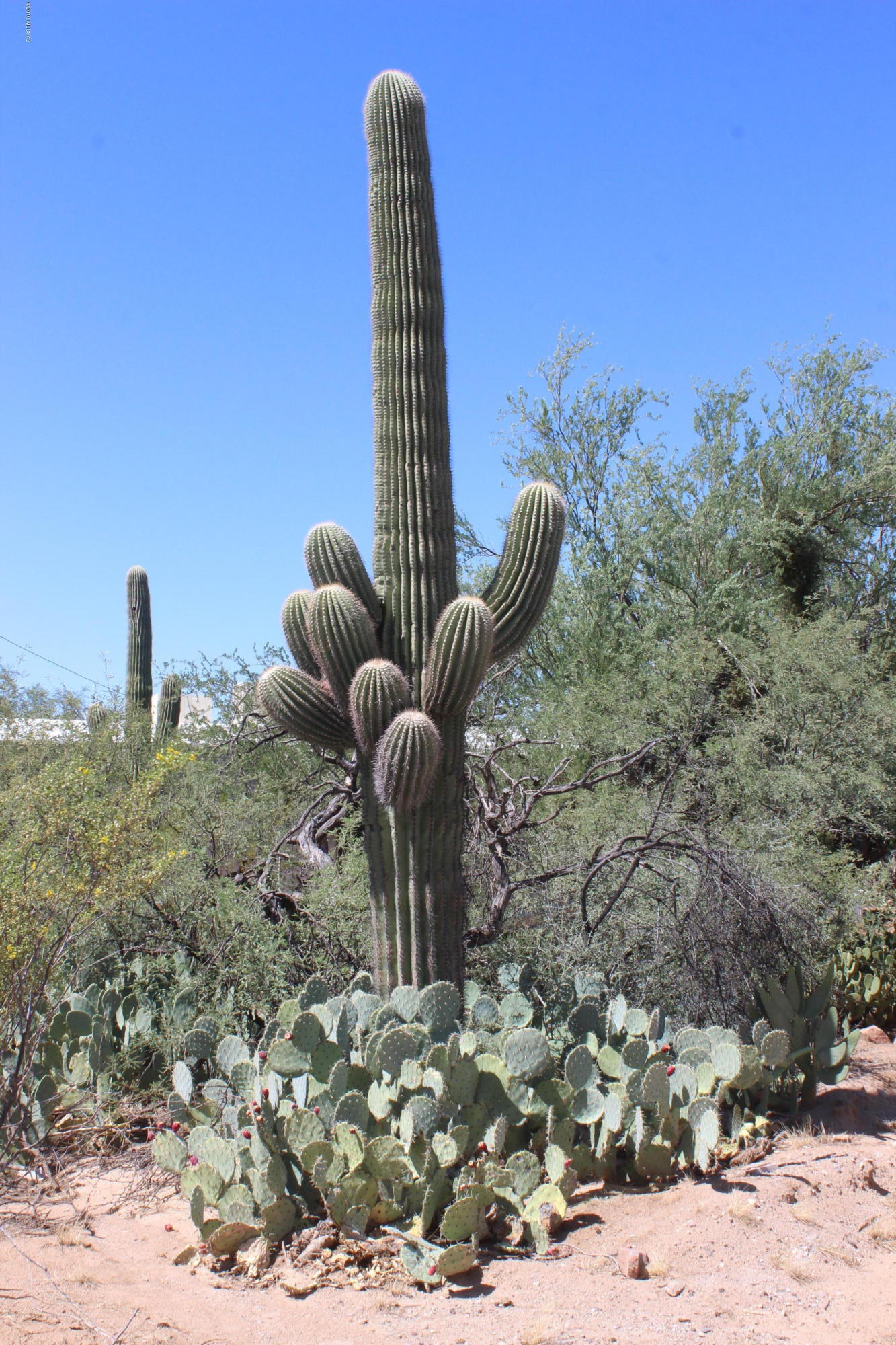 6711 North Guthrie Road Tucson, AZ 85743 - Photo 2 of 4