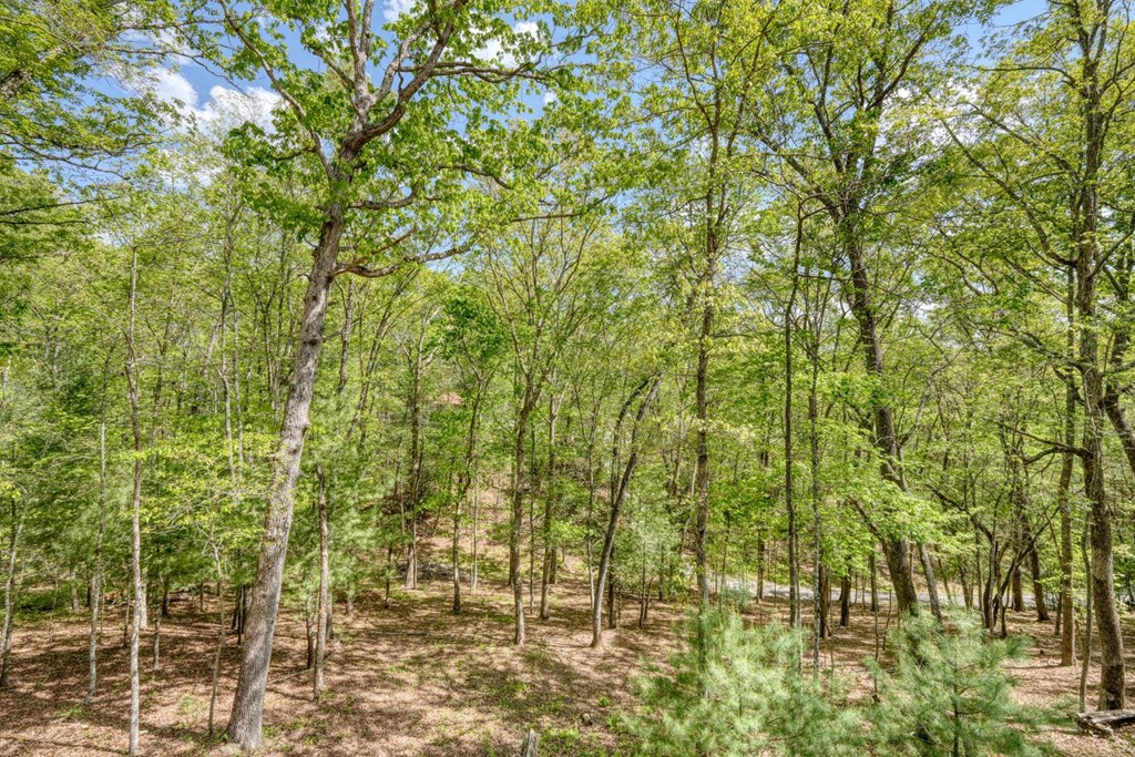 100 Fern Cv Lane Murphy, NC 28906 - Photo 20 of 39 Gallery Image 20