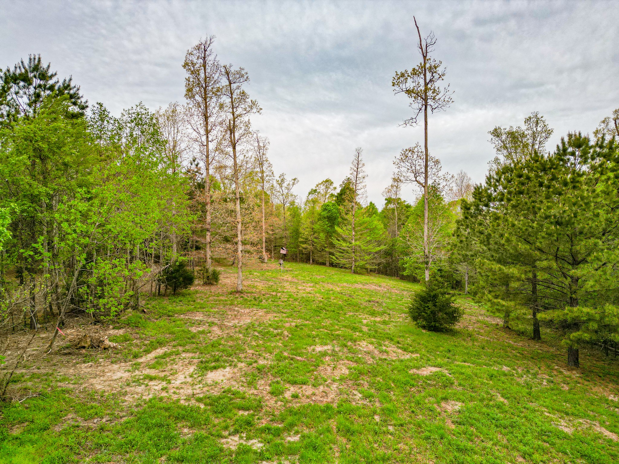 920 Mason Bates Bend Road Centerville, TN 37033 - Photo 58 of 82 Gallery Image 58