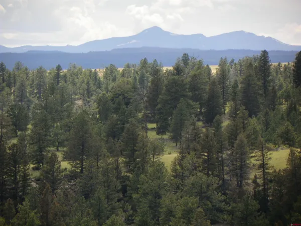 a view of a lush green hillside and a houses