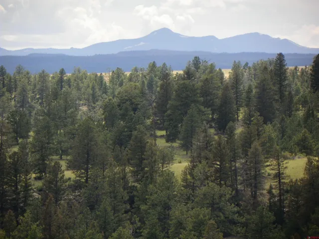 a view of a lush green hillside and a houses