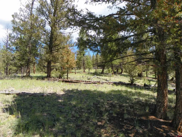 a view of yard with green space