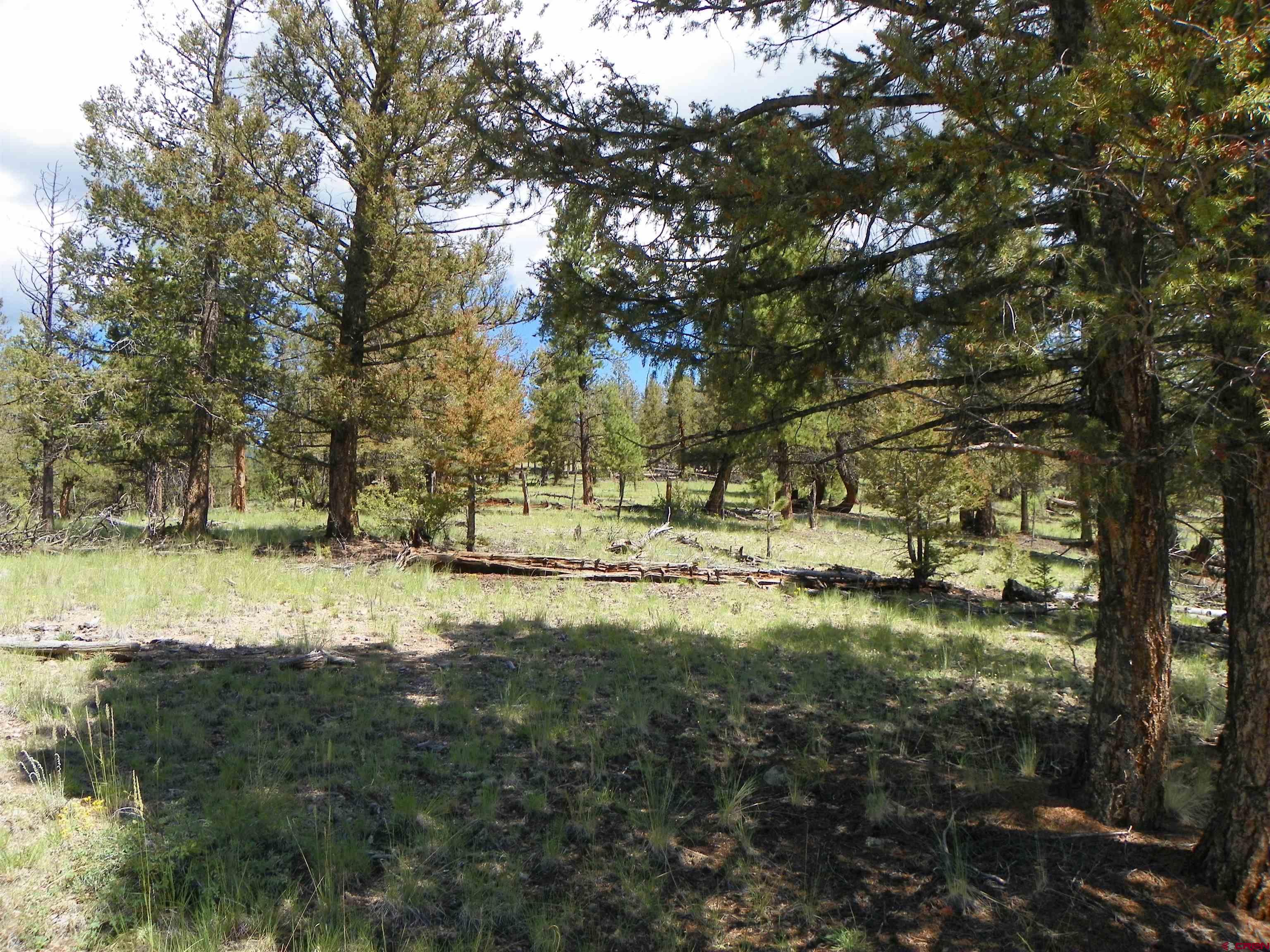 Tbd County Road South Saguache, CO 81149 - Photo 12 of 16 a view of yard with green space