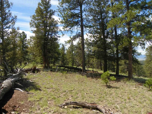 a view of backyard with green space