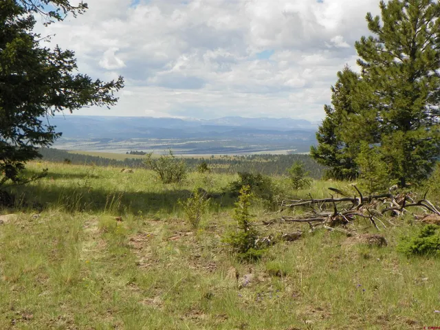 a view of an ocean beach