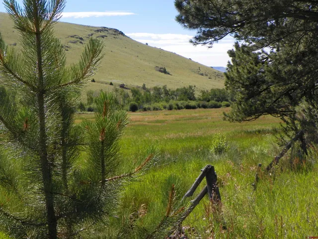 a view of an ocean from a yard